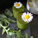 dandelion smoothie