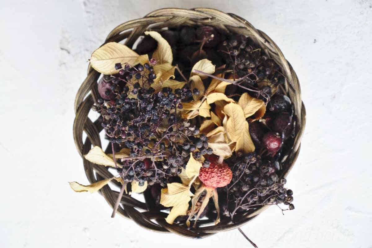 Brew your own wild tea from foraged herbs - Route to Longevity