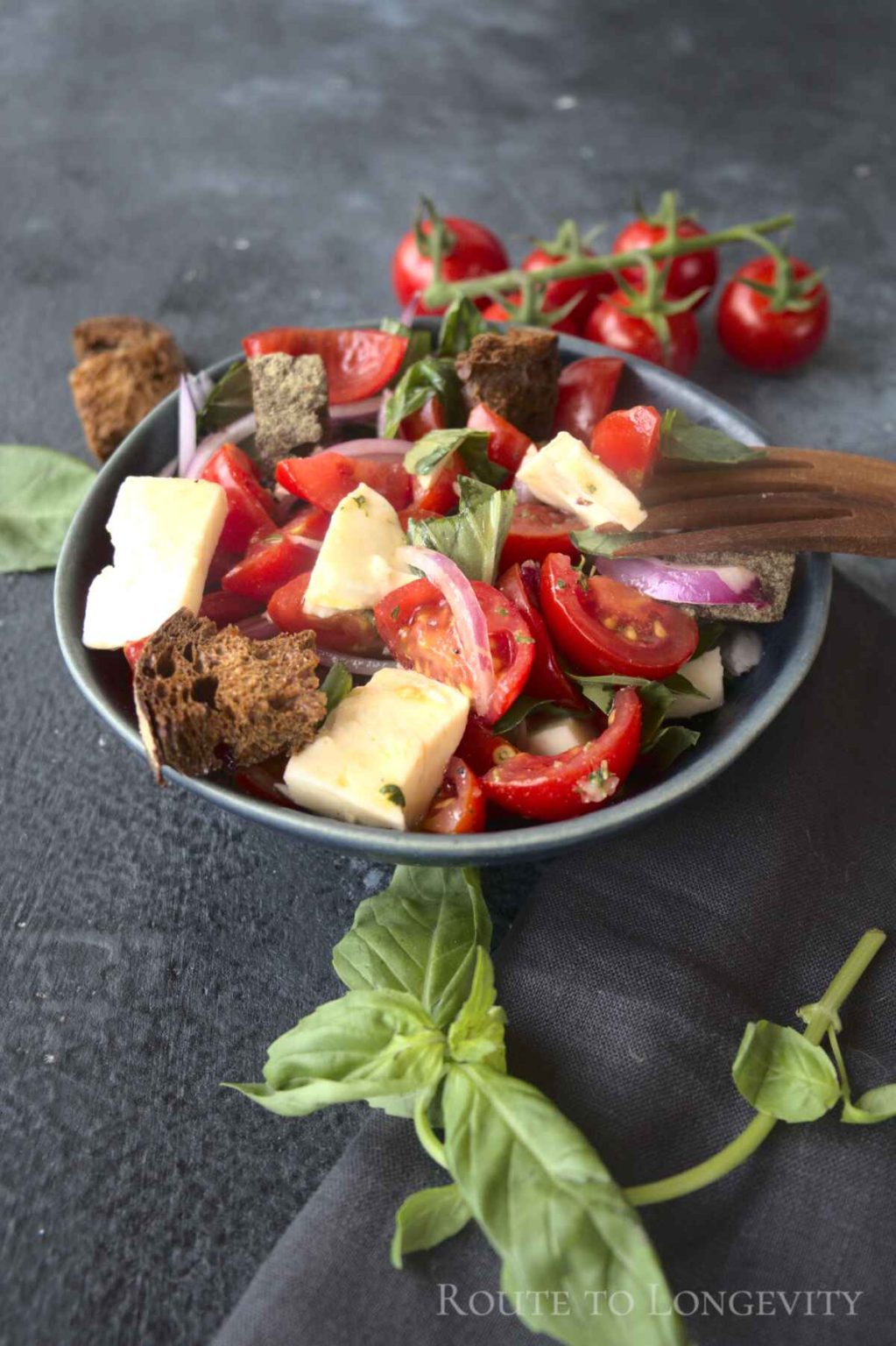 Panzanella Toscana (Italian Bread Salad) - Route to Longevity