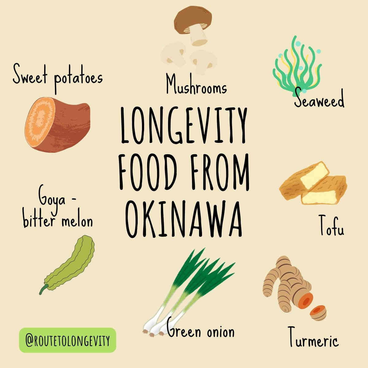 30 Okinawan Recipes Explore Okinawa Longevity In The Kitchen Route 30 Okinawan Recipes Explore Okinawa Longevity In The Kitchen Route