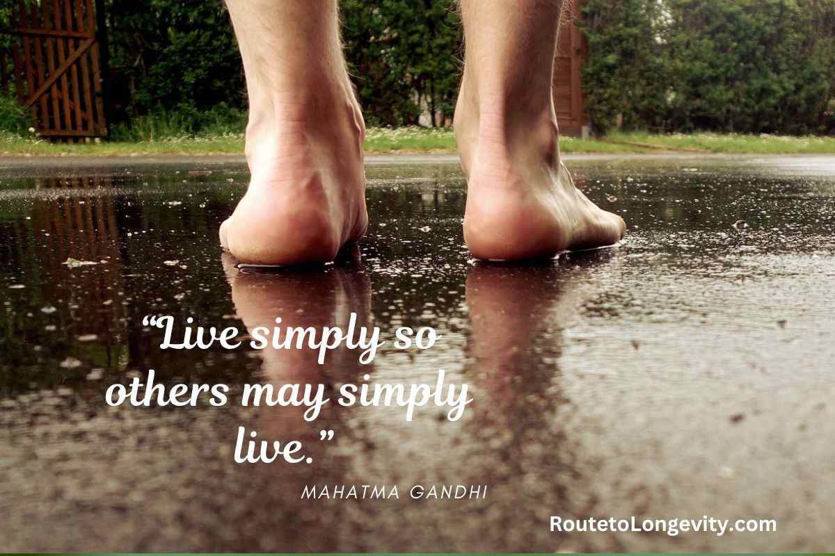 How Can Slow Living Quotes Inspire You to Enjoy Life?