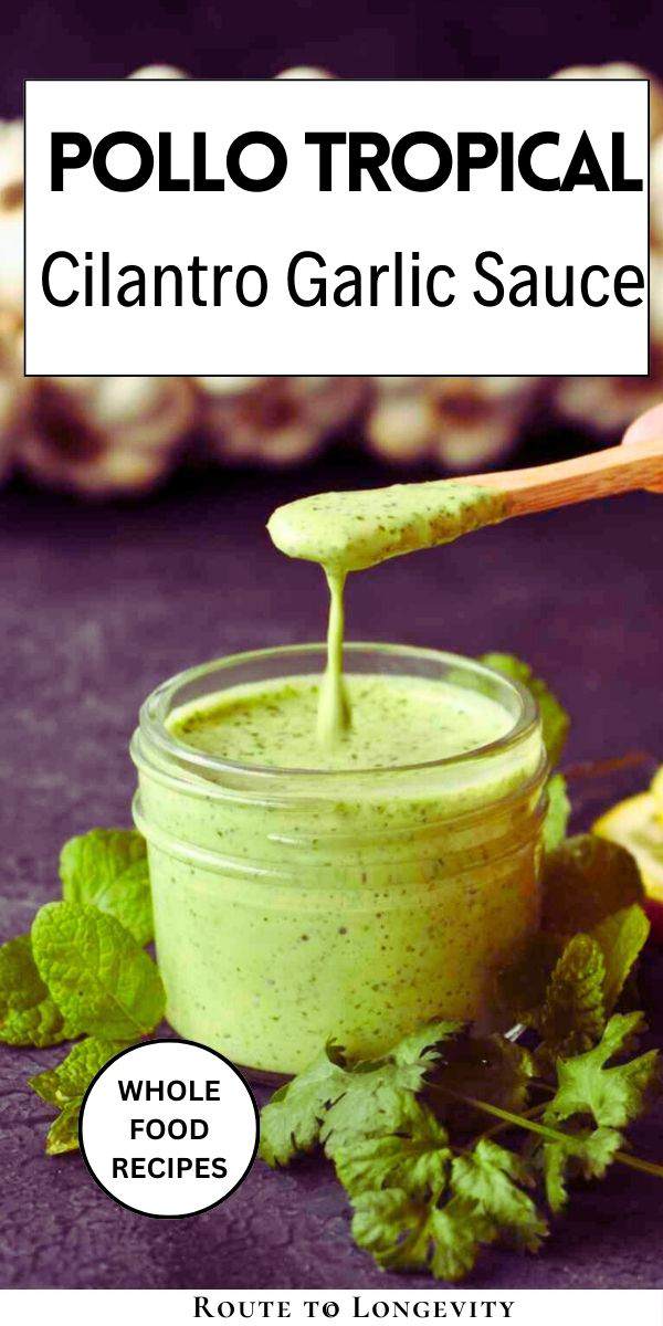 Cilantro garlic sauce recipe