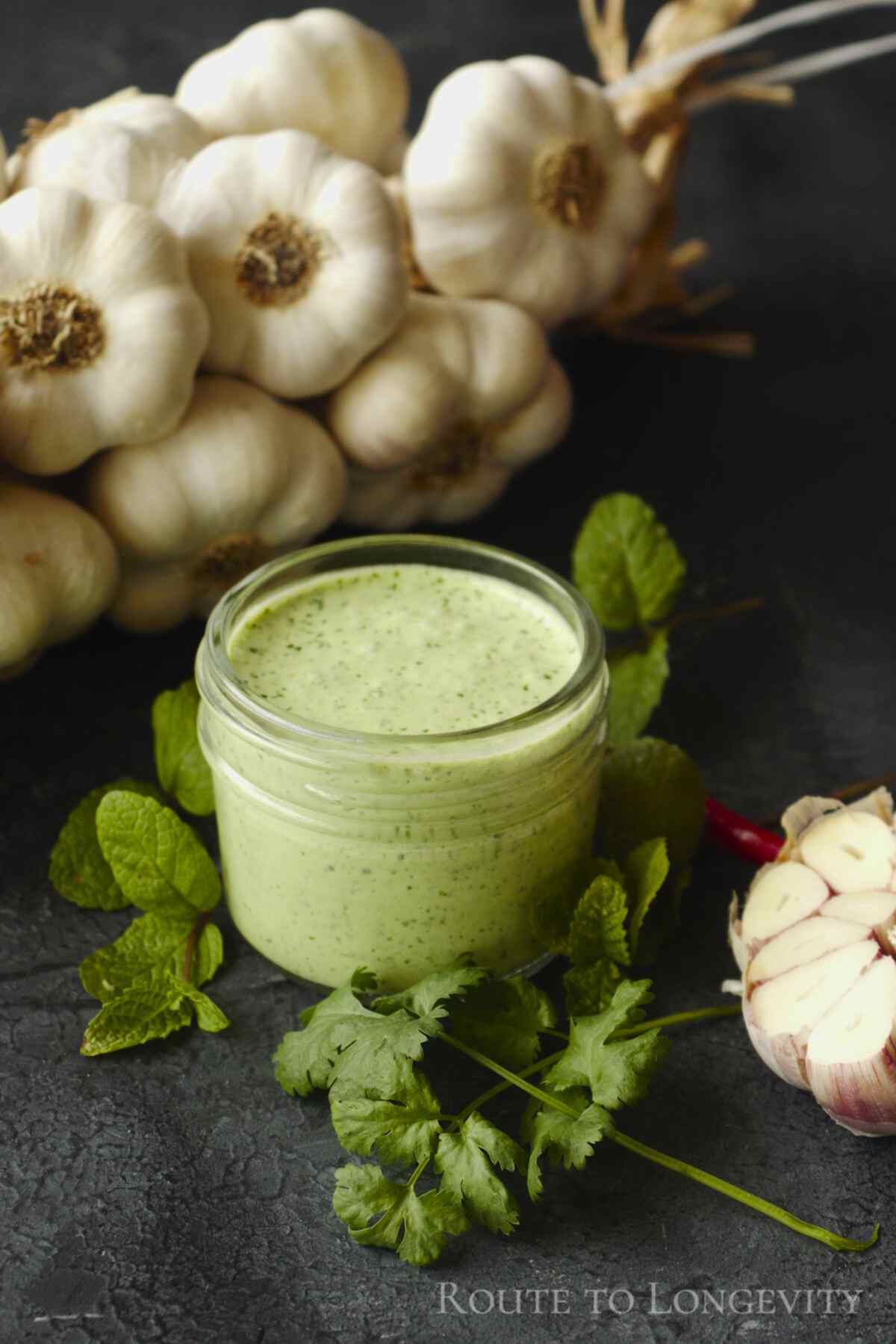 Cilantro garlic sauce recipe