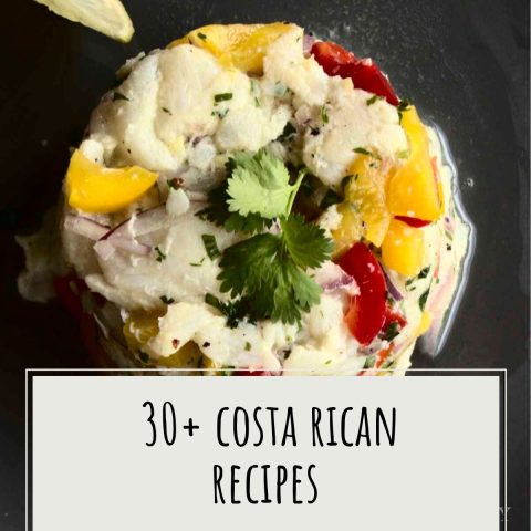 30+ costa rican recipes