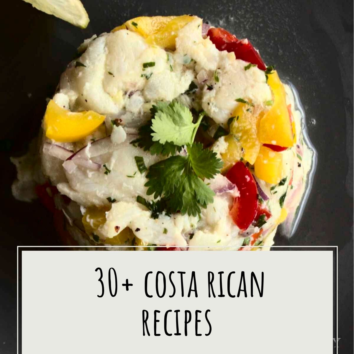30+ Traditional Costa Rican Food Recipes - Route to Longevity