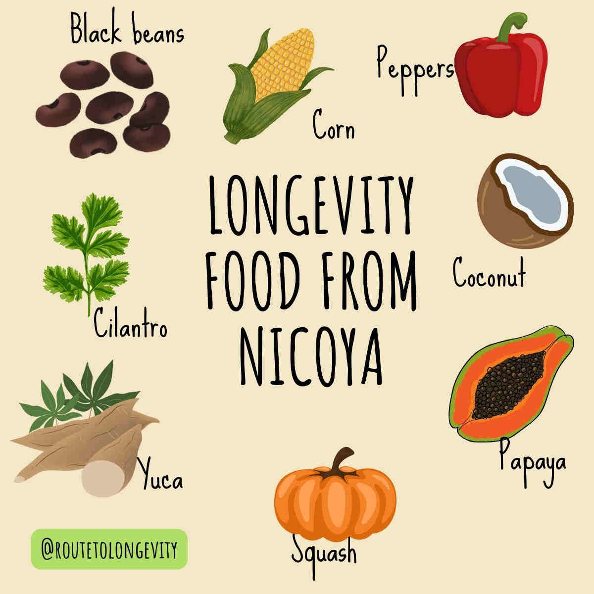 longevity food from Nicoya