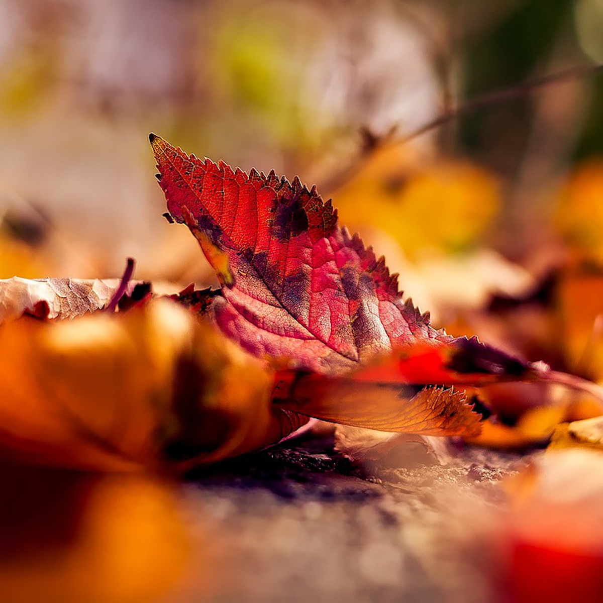 cherising the moment