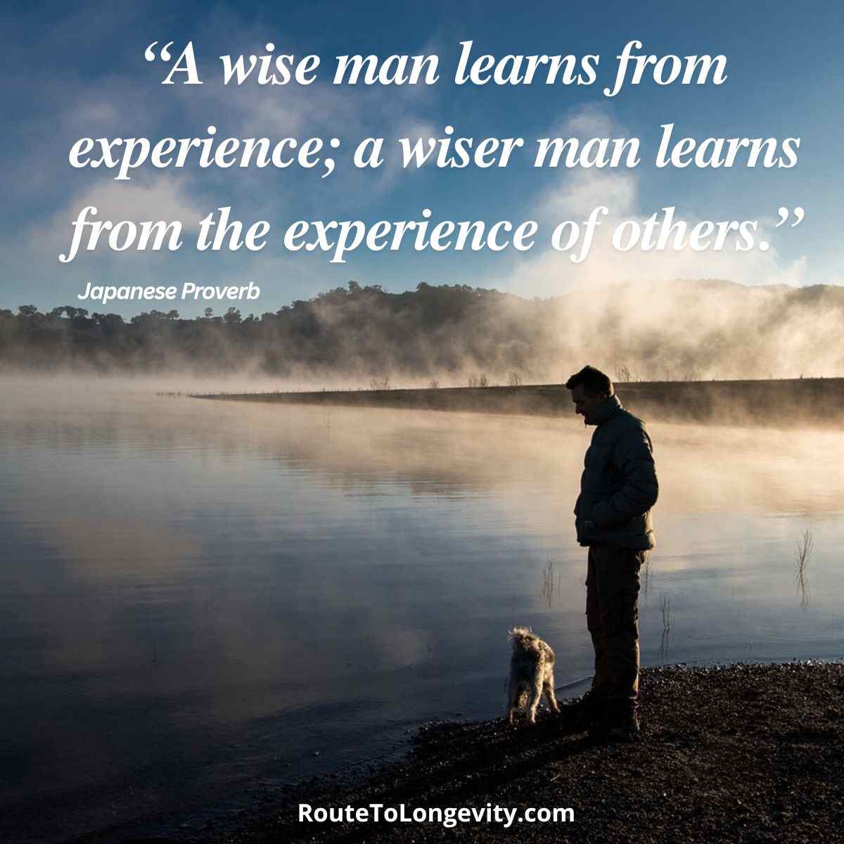 Quotes about Small Steps and Steady Progress