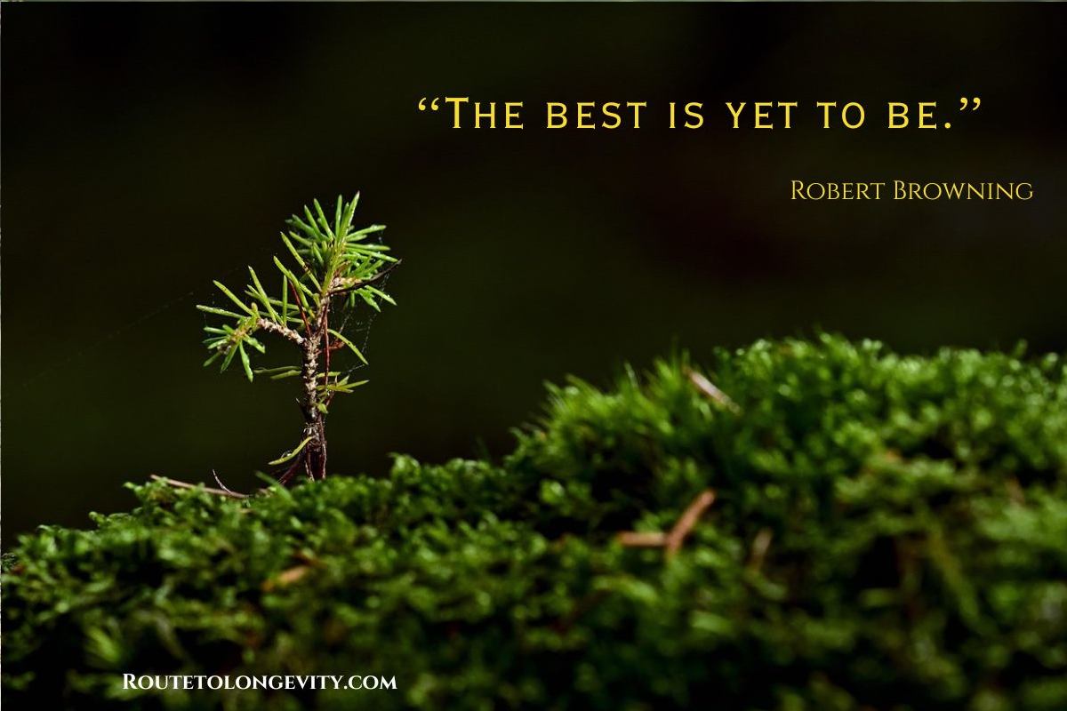 Funny Quotes about Getting Older