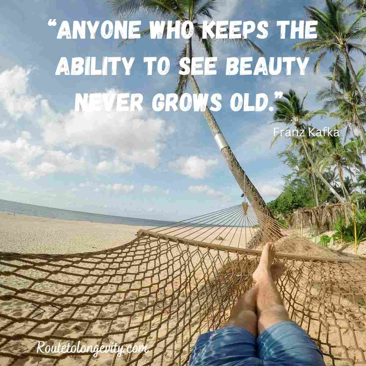 Uplifting Inspirational Quotes for the Elderly About Aging Gracefully 