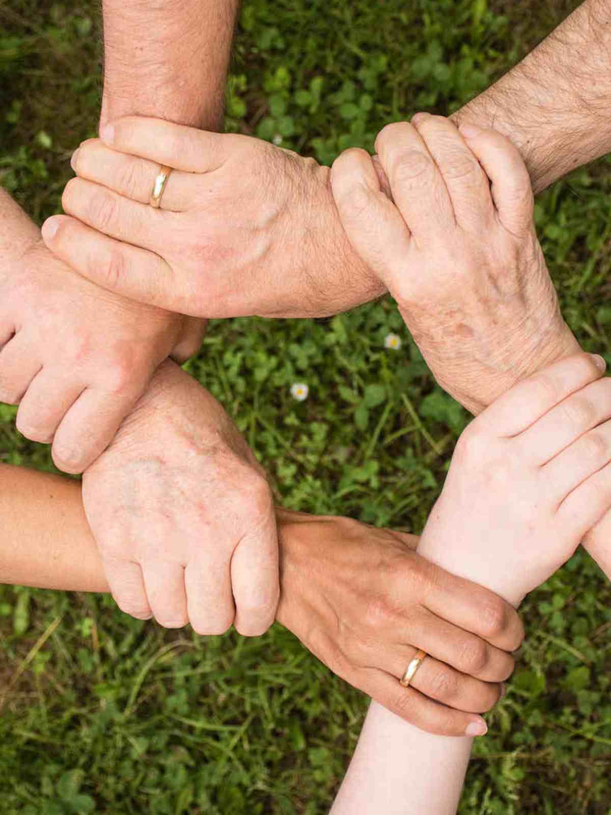 Grow older together in your moai