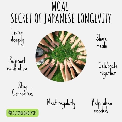 7 Steps to Practice the Blue Zone Moai for Longevity