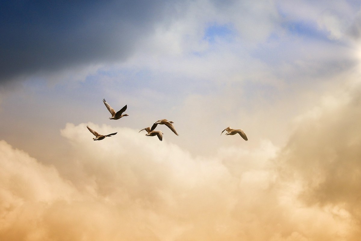 The Art of Letting Go in Real Life