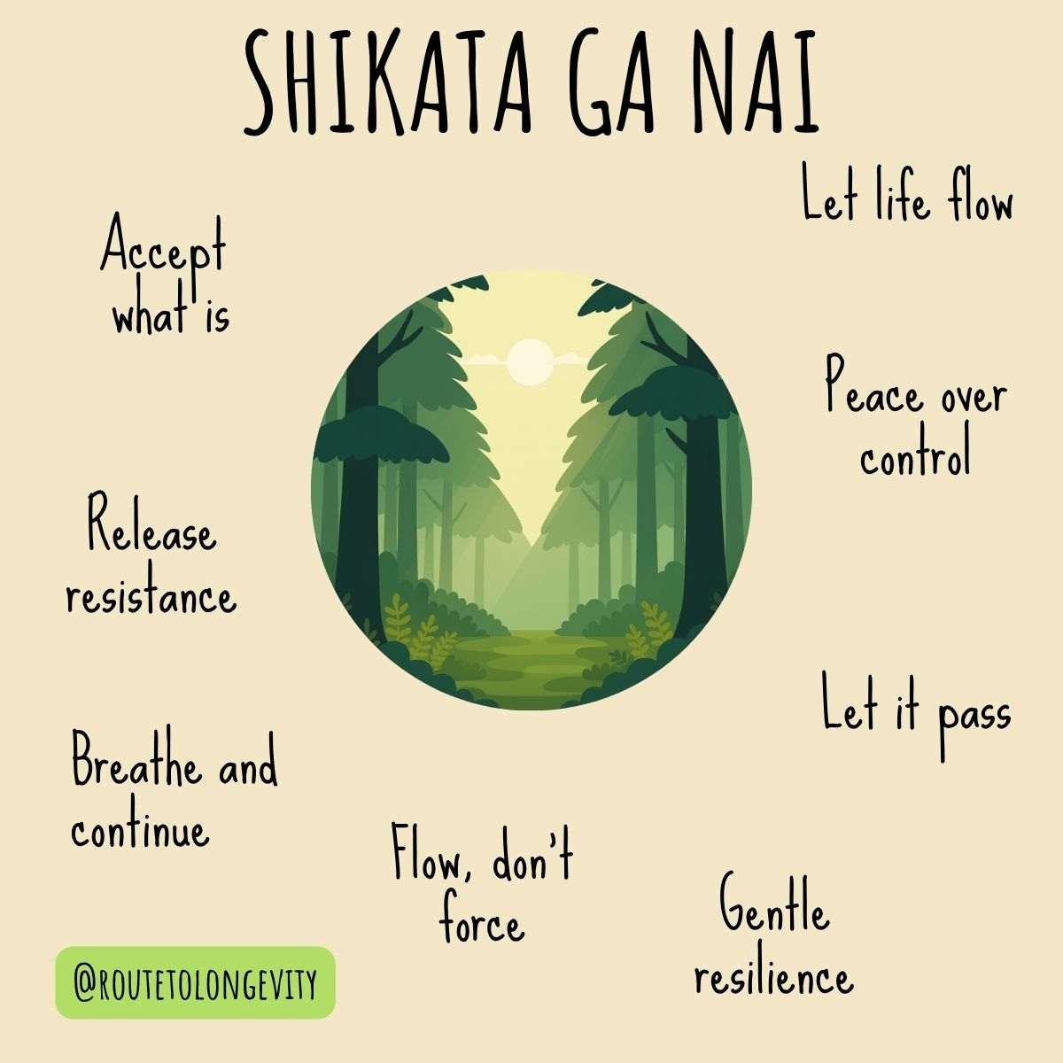 Shikata Ga Nai: The Art of Letting Go and Accepting Life it is