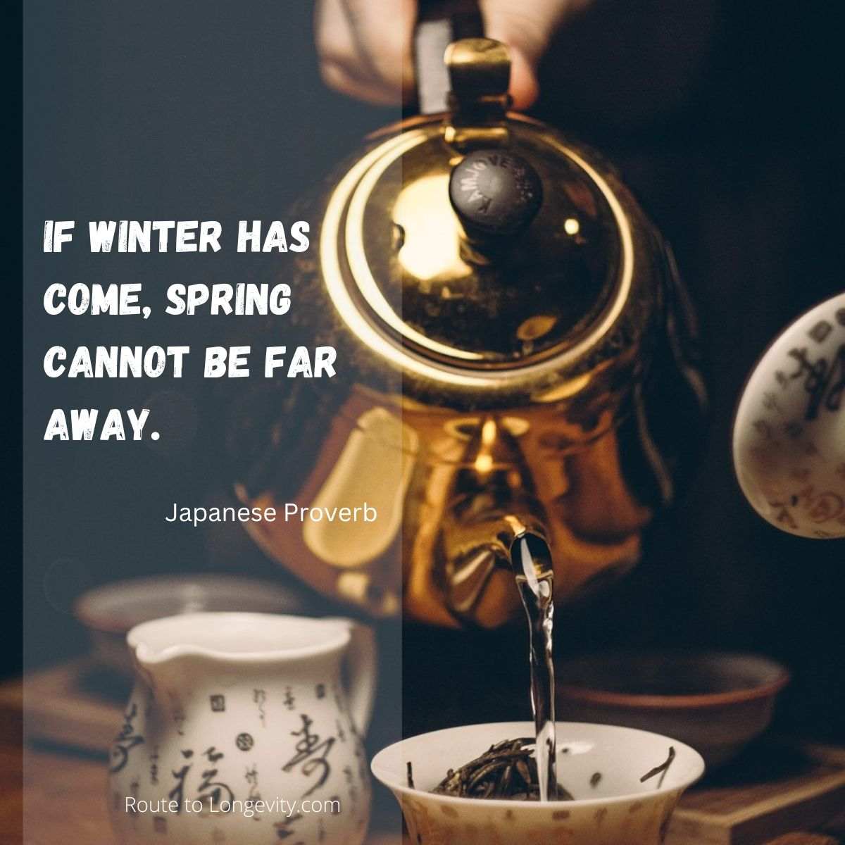 Famous Japanese Quotes About Life, Resilience, and Personal Growth