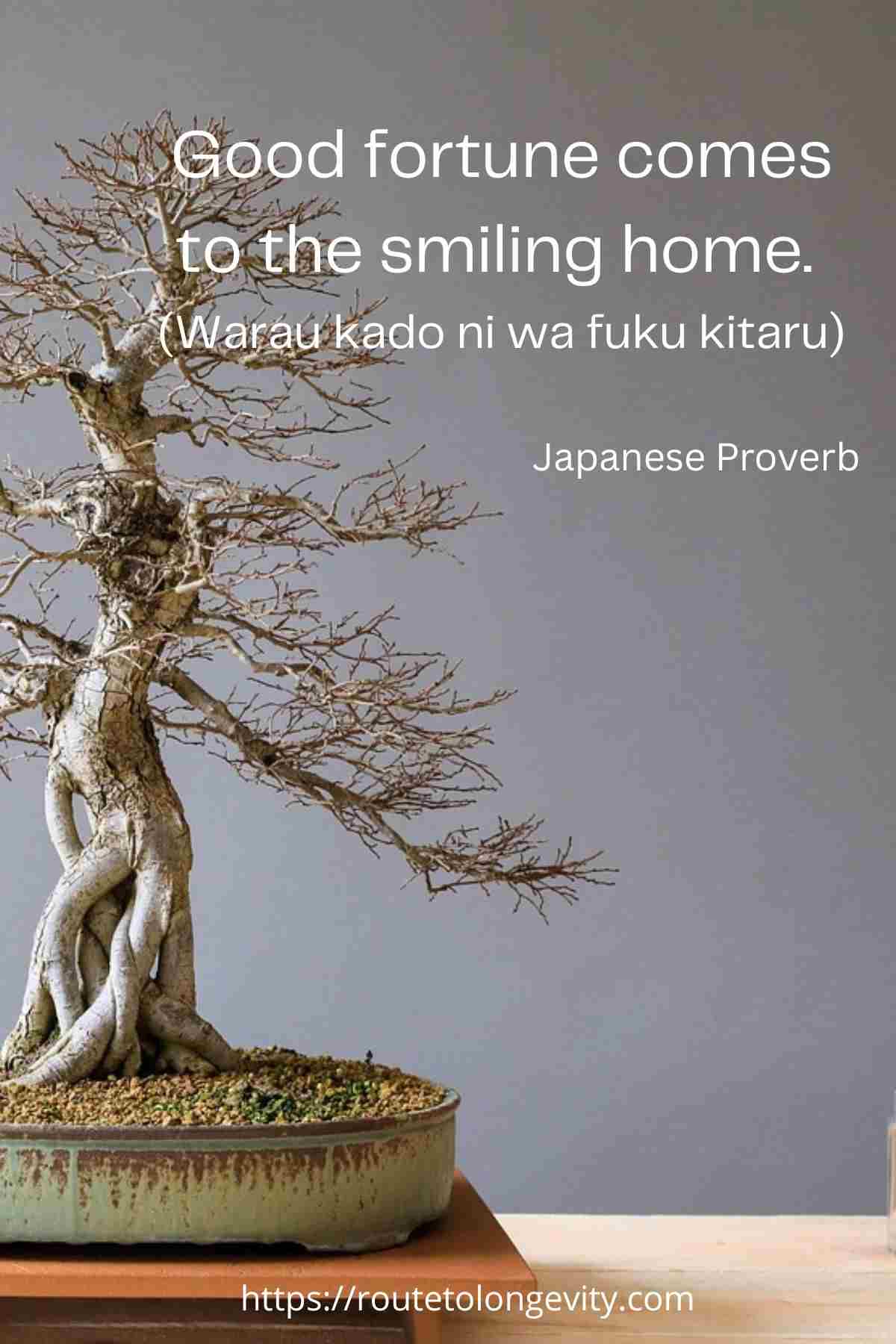 Japanese Language Wisdom, Japanese Values, and Why These Quotes Still Resonate