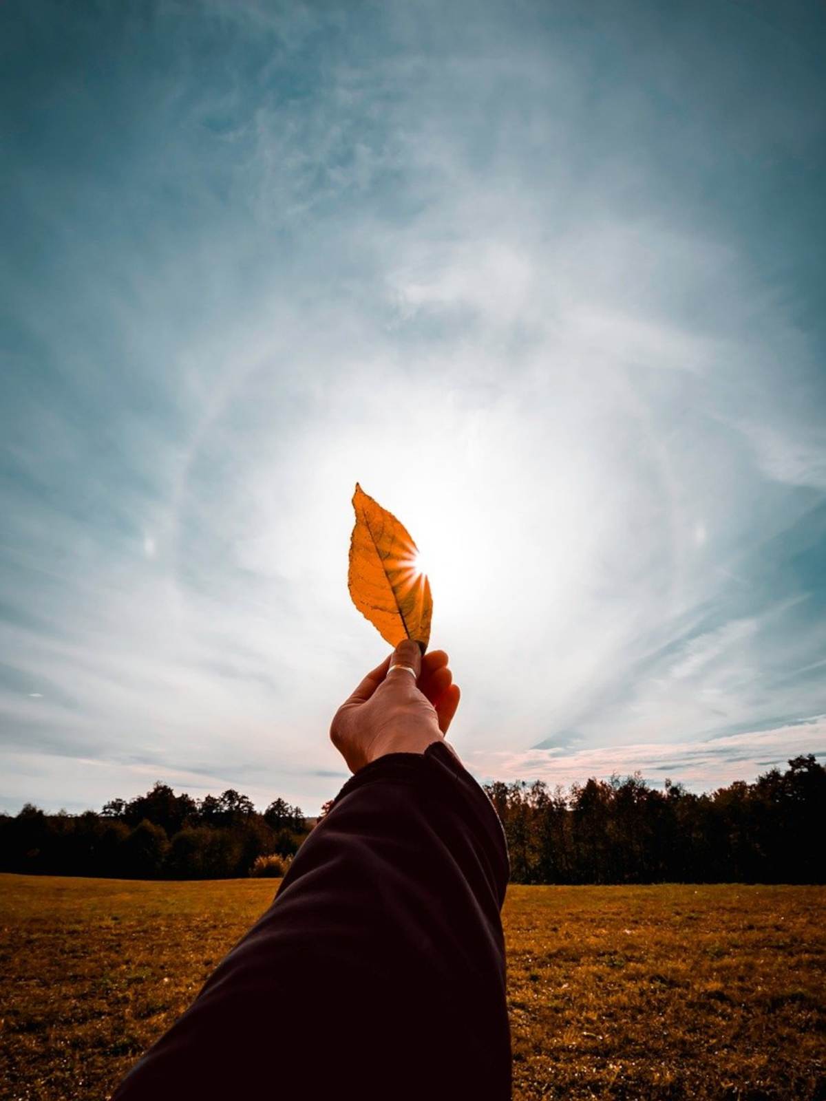 What Does Shikata Ga Nai Mean?