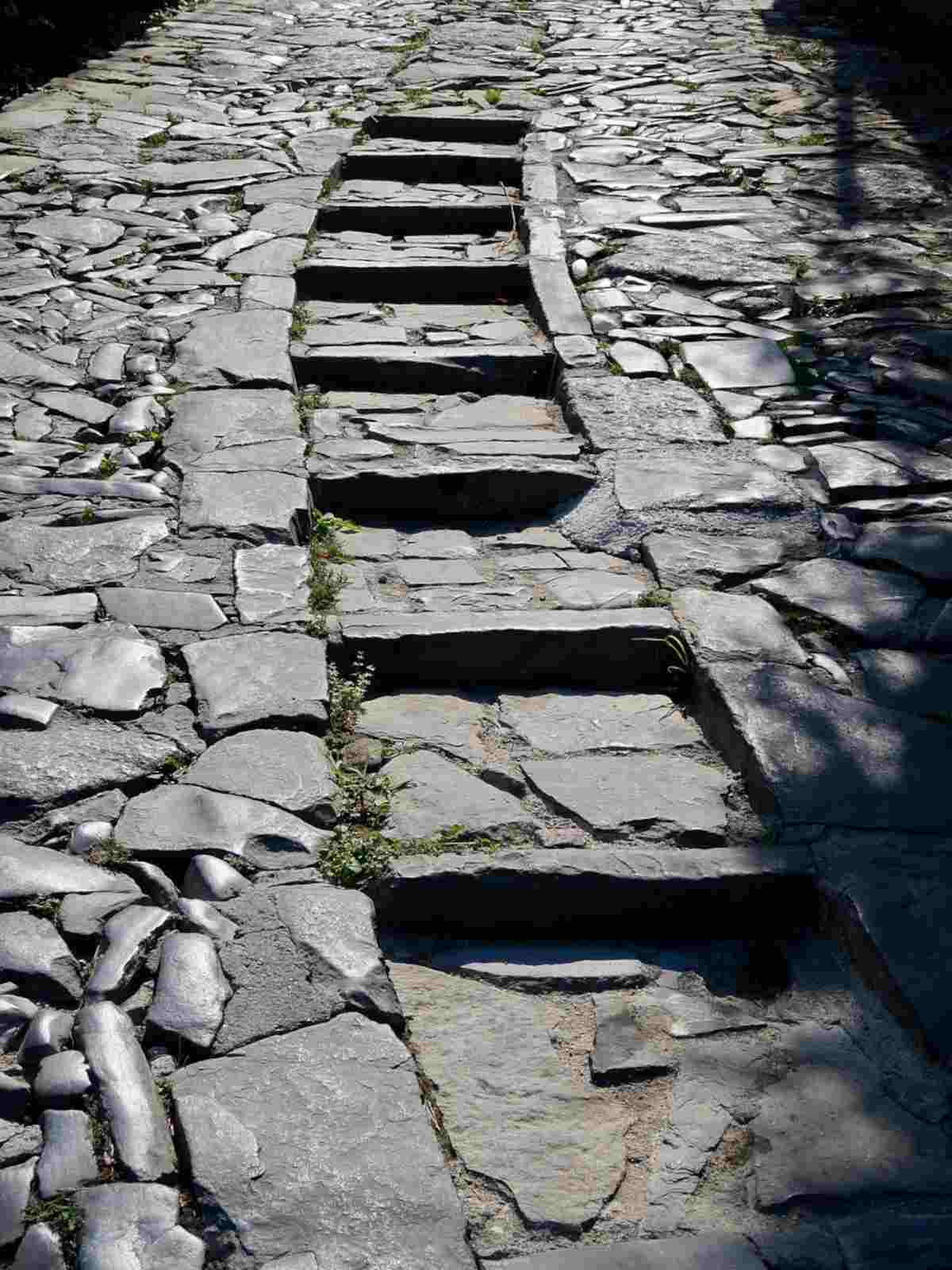 Is Shikata Ga Nai Negative?