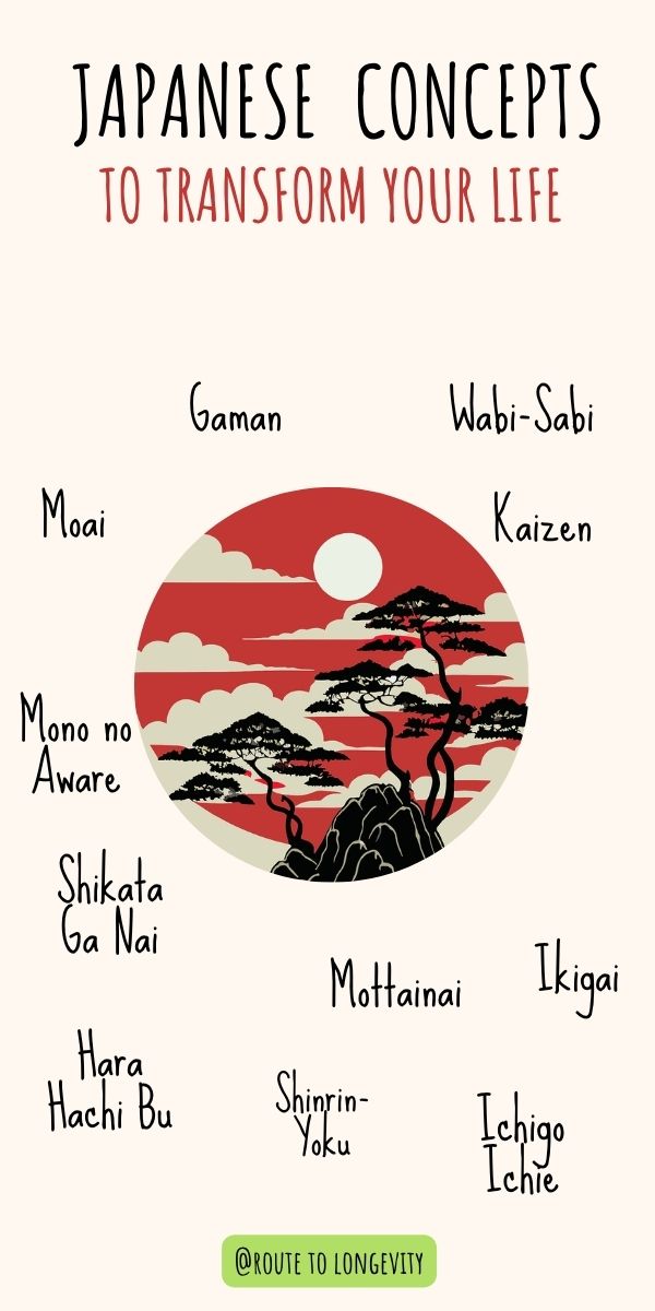 Japanese Lifestyle Practices Linked to Longevity