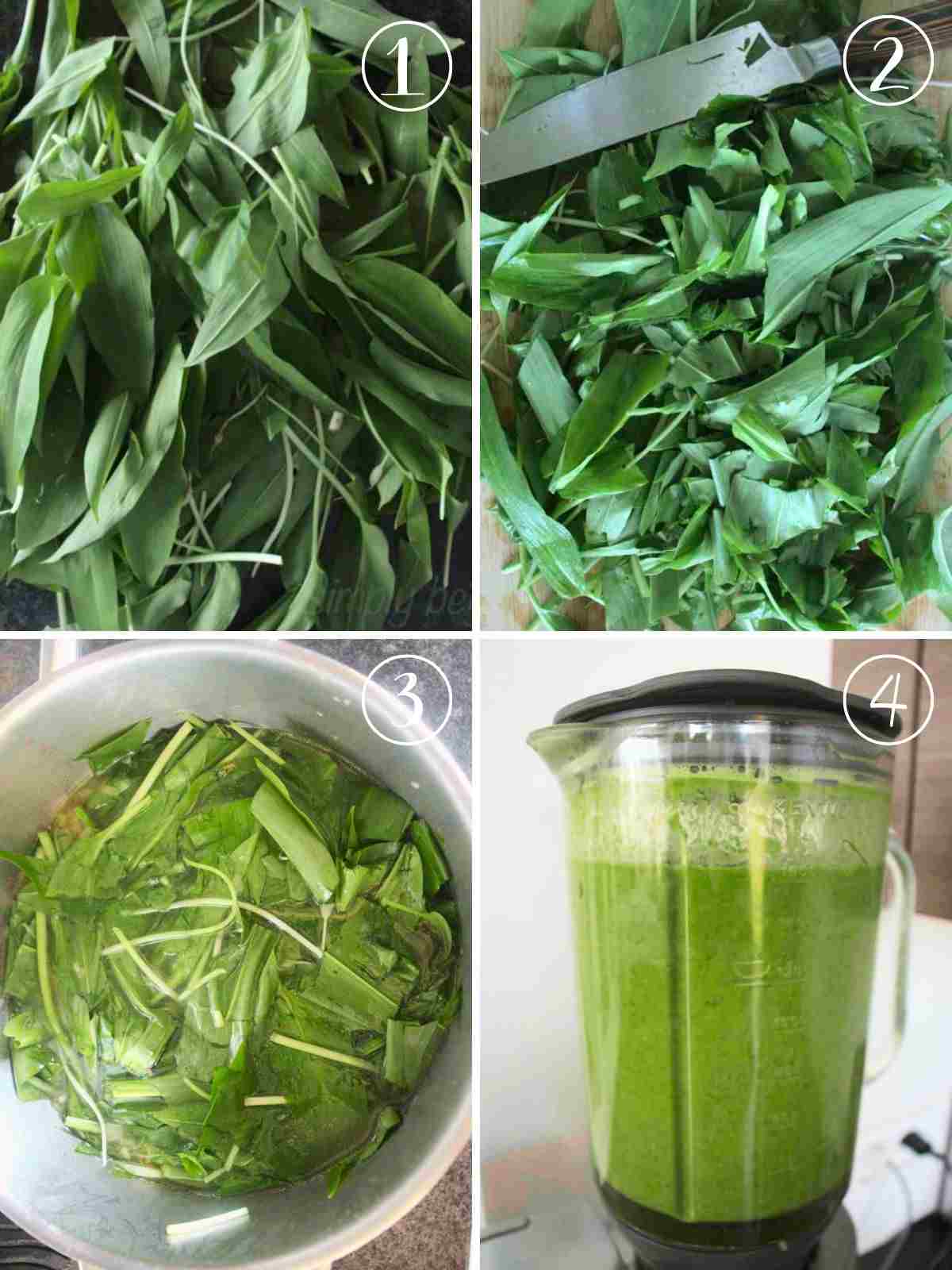 How to Make Ramp Soup